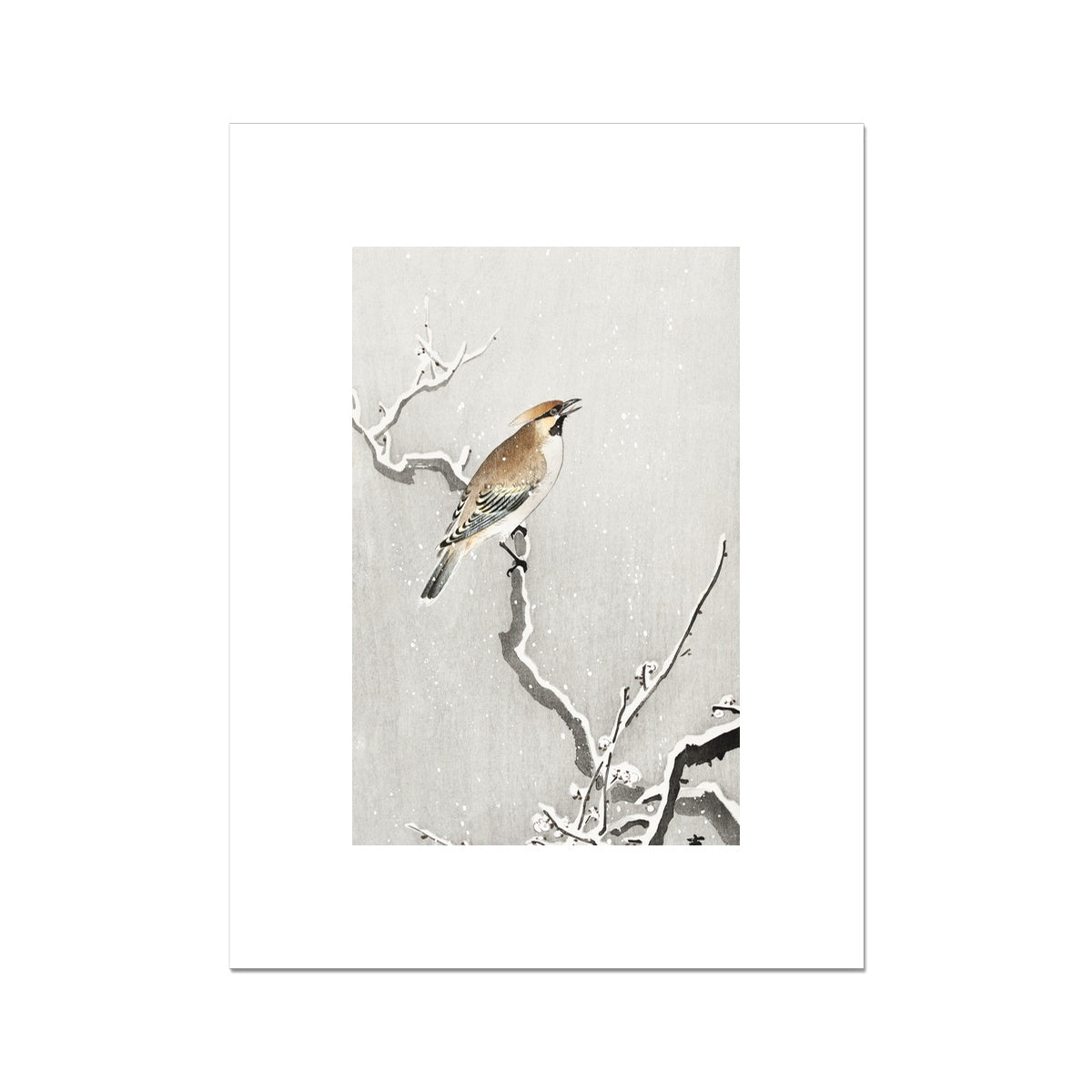 Bohemian bird on snowy branch (1900 - 1930) by Ohara Koson Fine Art Print