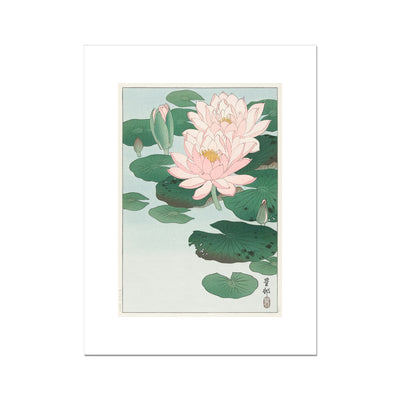 Water Lily (1920 - 1930) by Ohara Koson Fine Art Print