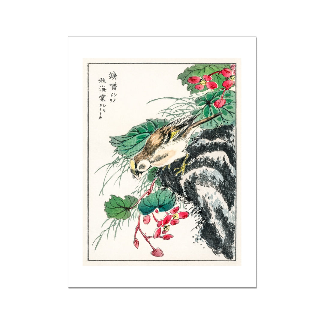 Asia – Tagged 