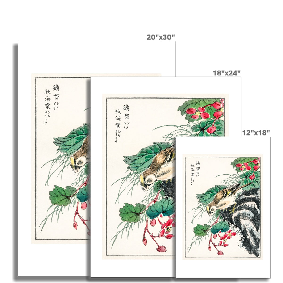 Japanese Hawfinch and Pirus Spectabilis by Numata Kashu Fine Art Print