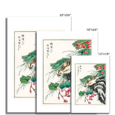 Japanese Hawfinch and Pirus Spectabilis by Numata Kashu Fine Art Print