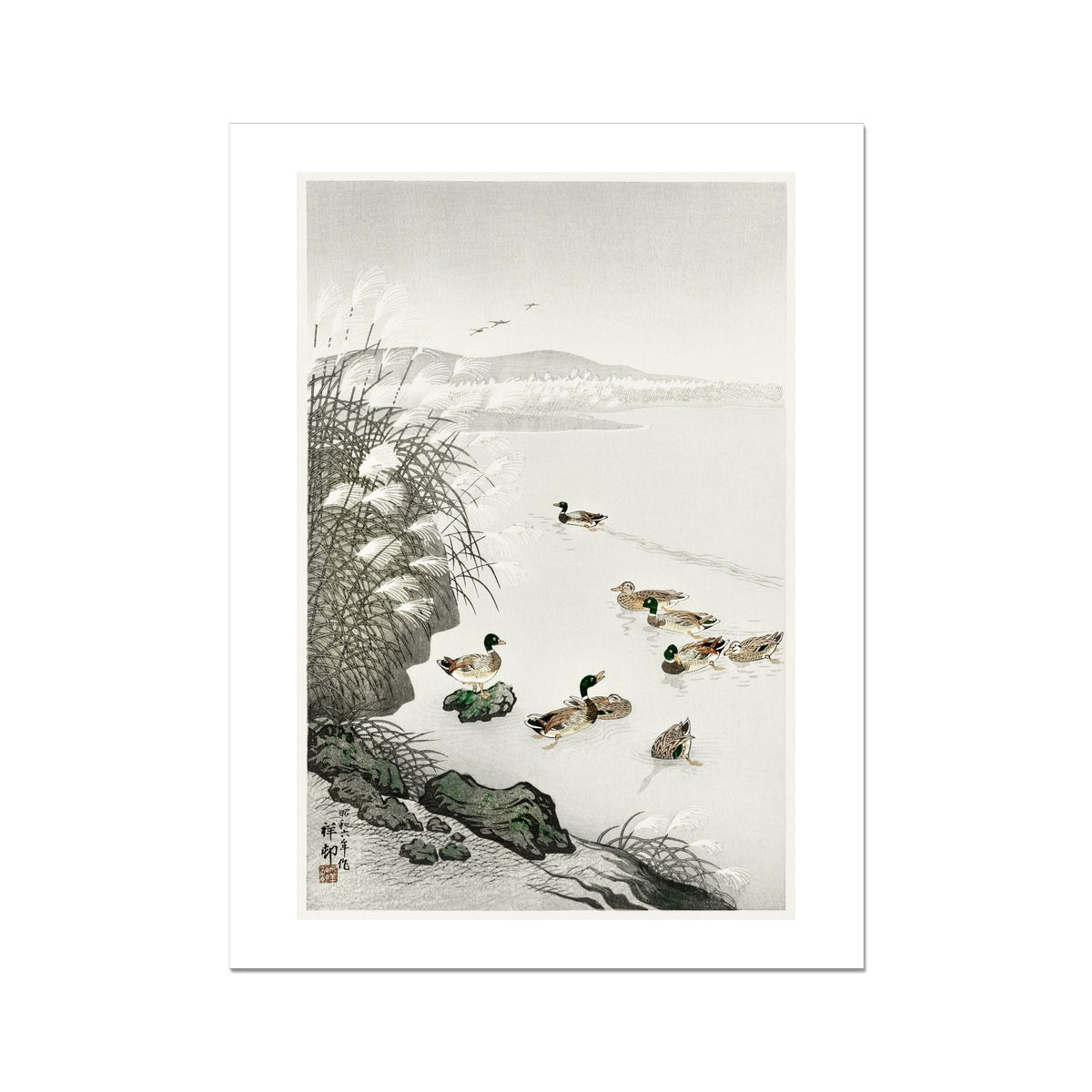 Ducks in the water (1931) by Ohara Koson Fine Art Print